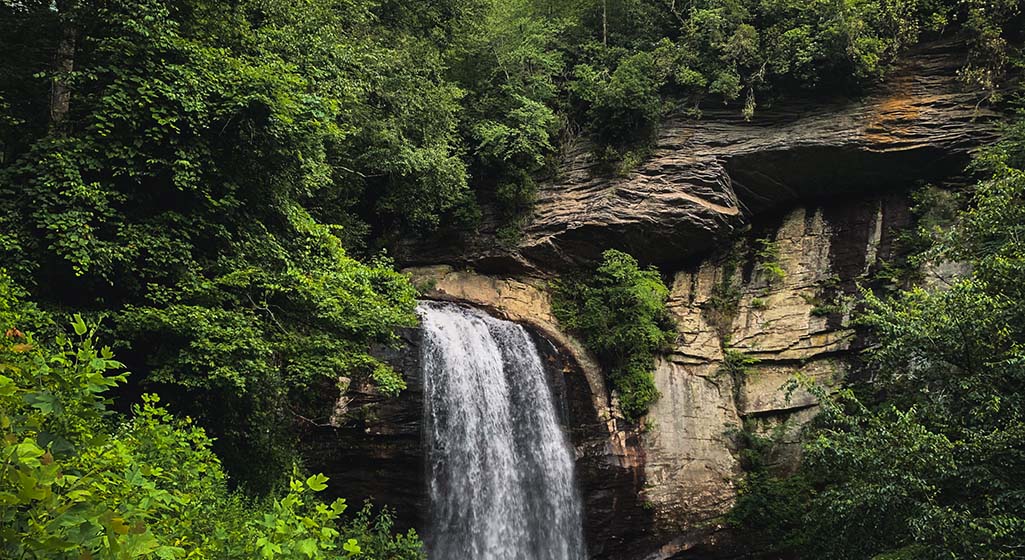 Mountain Magic: Asheville’s Enchanting Natural Reserves Unveiled